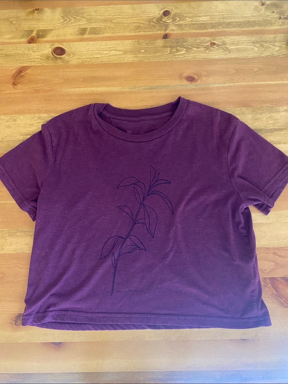 Tentree crop top